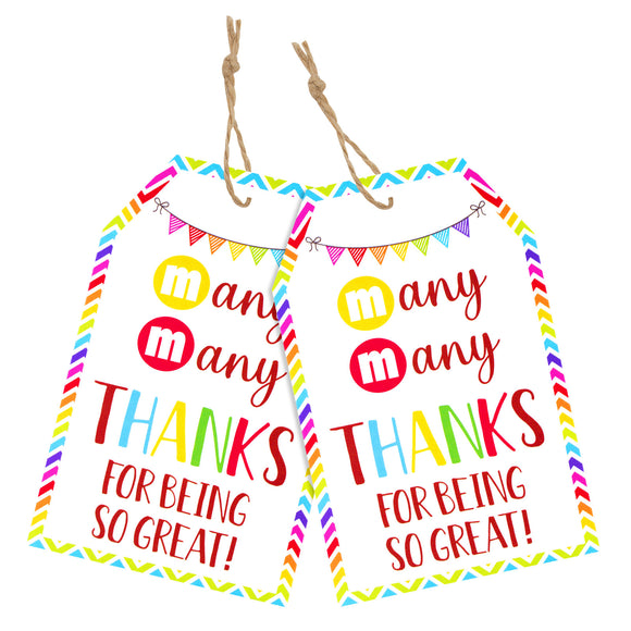 Roll over image to zoom in joycraft 50Pcs Thank You Gift Tags with String, 2x3.3 inch Kraft Paper Hanging Tags, Colorful Appreciation Tags, Many Many Thanks Tags for Gift Wrapping, Bags, Party Favor, DIY Craft